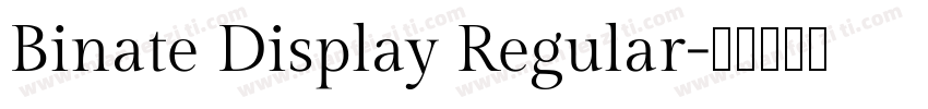 Binate Display Regular字体转换